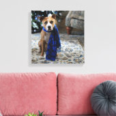 Vakantiekop van Pit Bull Rescue Dog Canvas Afdruk (Insitu (Woonkamer))