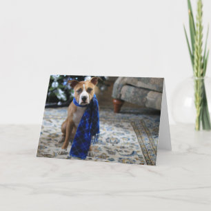 Vakantiekop van Pit Bull Rescue Dog Feestdagen Kaart