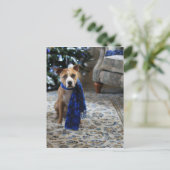 Vakantiekop van Pit Bull Rescue Dog Feestdagenkaart (Staand voorkant)