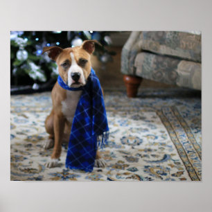 Vakantiekop van Pit Bull Rescue Dog Poster