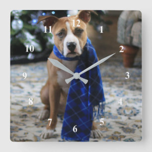 Vakantiekop van Pit Bull Rescue Dog Vierkante Klok