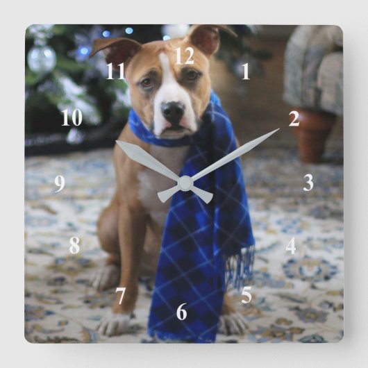 Vakantiekop van Pit Bull Rescue Dog Vierkante Klok (Voorkant)