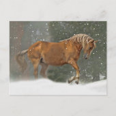 Vakantiepaard in sneeuw briefkaart (Voorkant)
