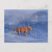 Vakantiepaard in sneeuw  briefkaart (Voorkant)