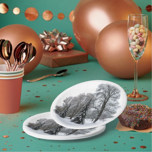 Vakantiepapier Borden Winter Wonderland Borden Papieren Bordje (Multi)