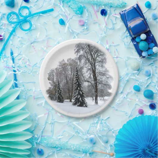 Vakantiepapier Borden Winter Wonderland Borden Papieren Bordje (Feest)