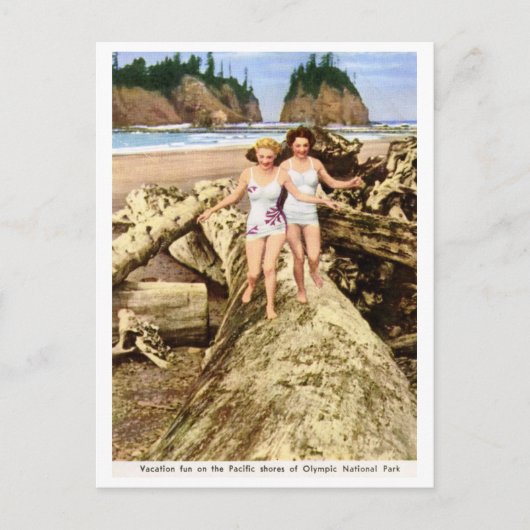 Vakantiepark, Olympic National Park, Vintage Briefkaart (Voorkant)