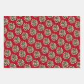 Vakantiepijn komt op rood inpakpapier vel (Voorkant 3)