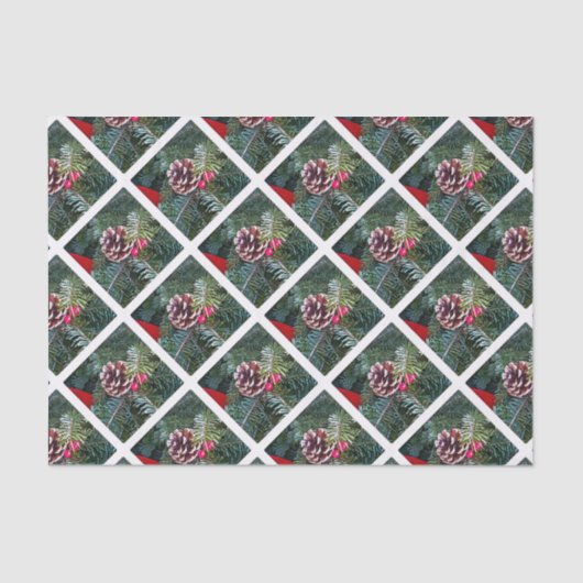 Vakantiepijn Tissuepapier (Voorkant)