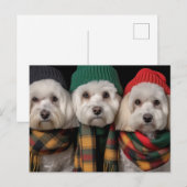 Vakantiepups Uitnodiging Briefkaart (Voorkant / Achterkant)