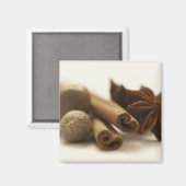 Vakantiesoorten Magneet (Voorkant / Achterkant)