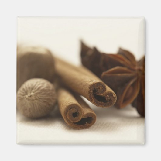 Vakantiesoorten Magneet (Voorkant)