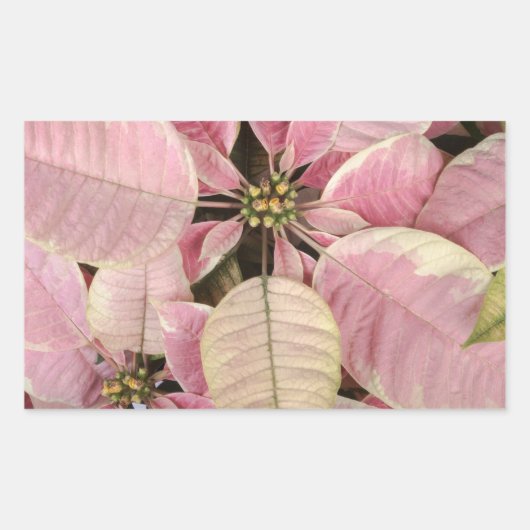 Vakantiestickers Rechthoekige Sticker (Voorkant)