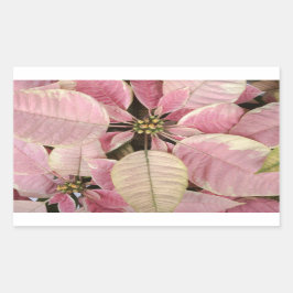 Vakantiestickers Rechthoekige Sticker