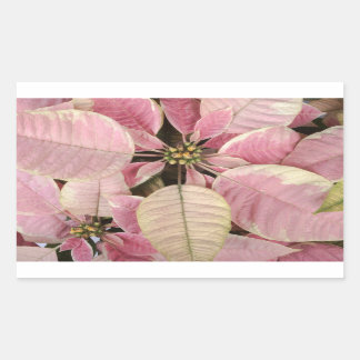 Vakantiestickers Rechthoekige Sticker