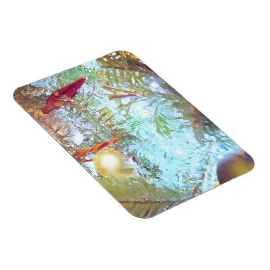 Vakantievormen in het licht magneet (Rechterzijde)