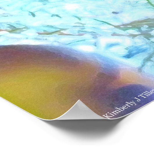 Vakantievormen in het licht poster (Hoek)