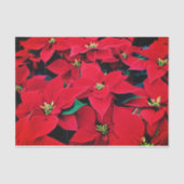 Vakantieweefsel Papier-Rode Poinsettias Tissuepapier (Voorkant)