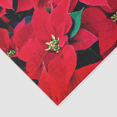 Vakantieweefsel Papier-Rode Poinsettias Tissuepapier (Detail)