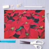Vakantieweefsel Papier-Rode Poinsettias Tissuepapier (Craft)
