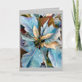 Vakantiewoningen in Blue Pointsettia Kaart (Voorkant)
