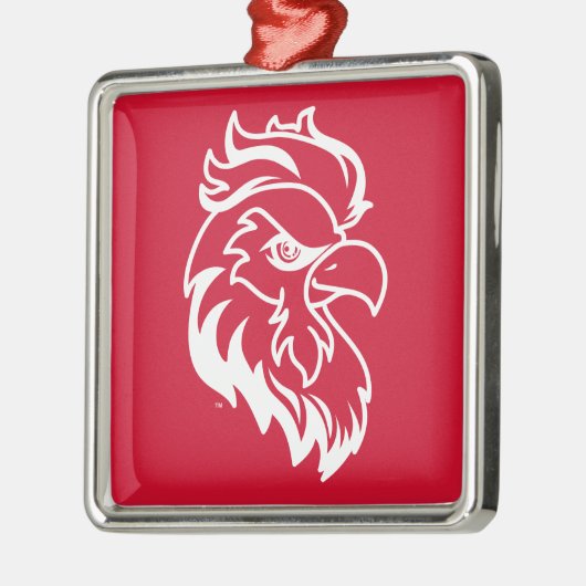 Vakantiewoningen in Jacksonville State University Metalen Ornament (Links)