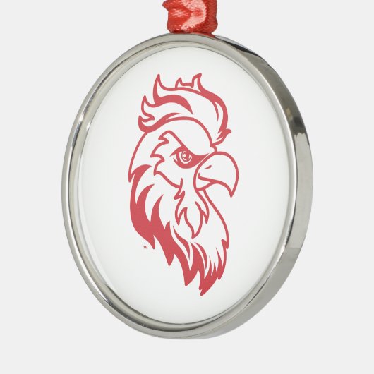 Vakantiewoningen in Jacksonville State University Metalen Ornament (Links)