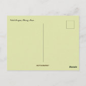 Vakil-moskee Shiraz Iran Briefkaart (Achterkant)