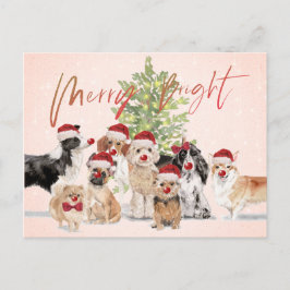 Vakkerstfeestdagen Hondenliefhebbers Merry Santa H Briefkaart