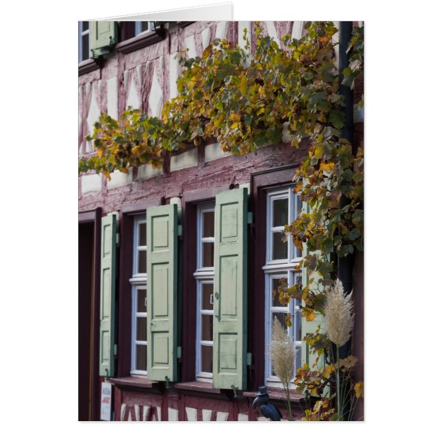Vakwerkhuis Detail (Voorkant)