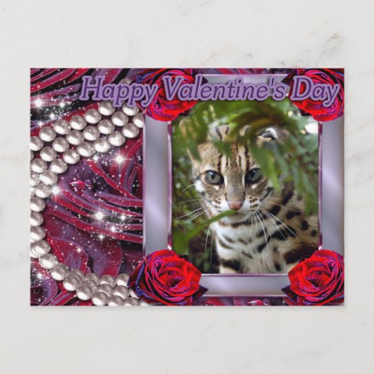 VAL-BENGAL-CAT-00073-6x4 Feestdagenkaart (Voorkant)