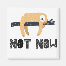 Val de luiaard niet lastig magneet