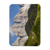 Val di Funes, Villnosstal, Dolomites, Italië Magneet (Verticaal)