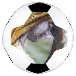 Val een stil intermezzo voetbal