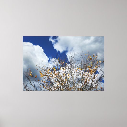 Val in het paradijs canvas afdruk (Voorkant)