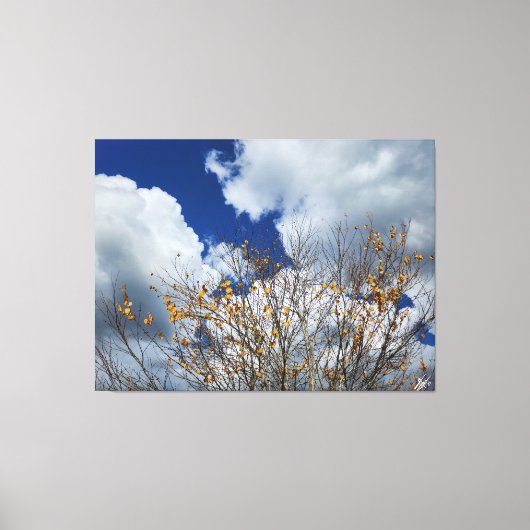 Val in het paradijs canvas afdruk (Voorkant)