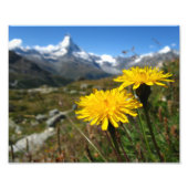 Valais Alps Swiss Foto Afdruk (Voorkant)