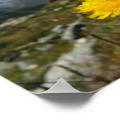 Valais Alps Swiss Poster (Hoek)