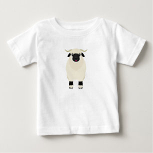 Valais Black Nose Sheep
