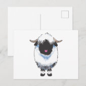 Valais Black Nose Sheep Briefkaart (Voorkant / Achterkant)