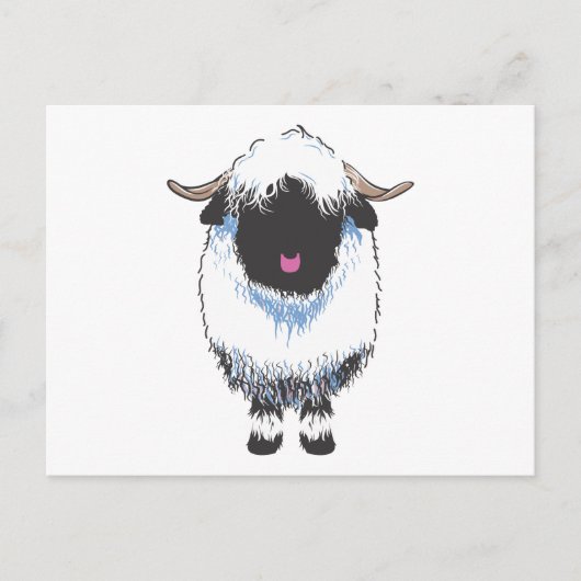 Valais Black Nose Sheep Briefkaart (Voorkant)