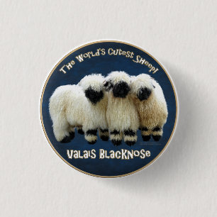 Valais Blacknose - de Leukste Schapen van de Ronde Button 3,2 Cm