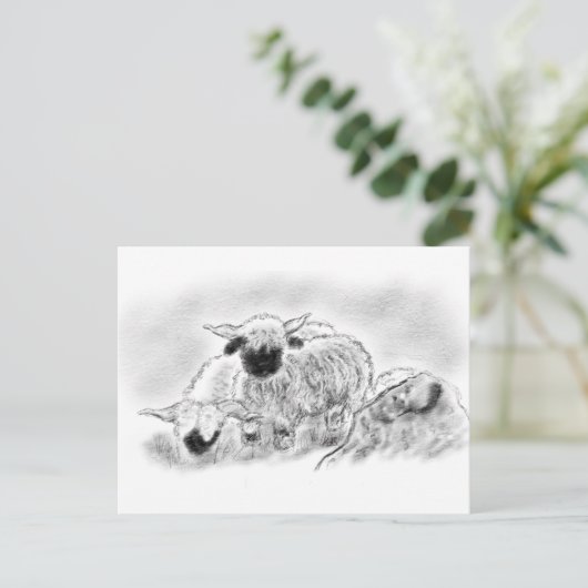 Valais Blerkse Sheep Illustration Briefkaart (Staand voorkant)