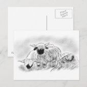 Valais Blerkse Sheep Illustration Briefkaart (Voorkant / Achterkant)