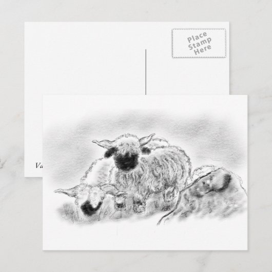 Valais Blerkse Sheep Illustration Briefkaart (Voorkant / Achterkant)