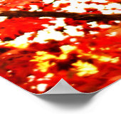 valbladeren 002 poster (Hoek)