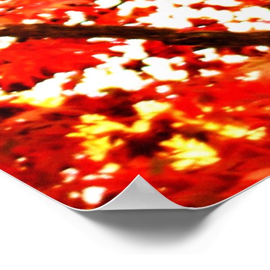 valbladeren 002 poster (Hoek)