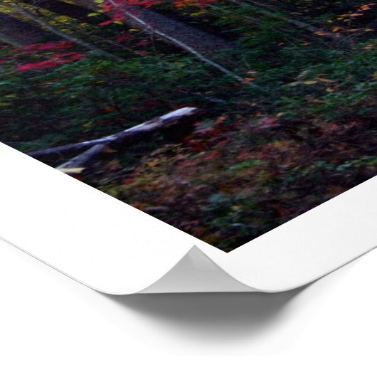 valbladeren poster (Hoek)