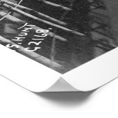 Valdez, Alaska Birdseye 1905 Poster (Hoek)