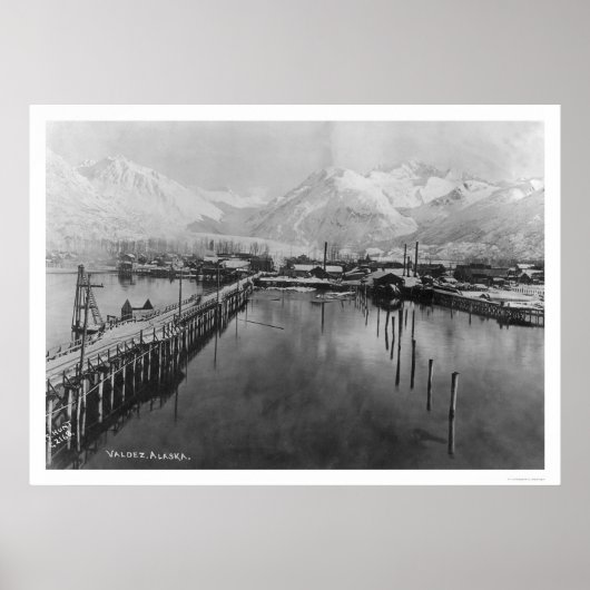 Valdez, Alaska Birdseye 1905 Poster (Voorkant)
